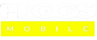 logo_fliggs_a84529c40f-removebg-preview
